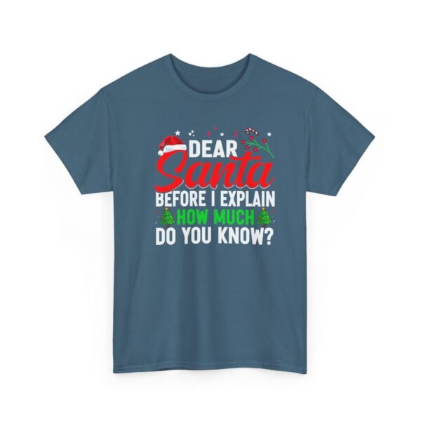 Unisex t-shirt from Twisted Angell with the sarcastic phrase “Dear Santa, Before I Explain, How Much Do You Know?” printed on the front.