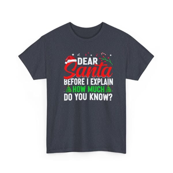 Unisex t-shirt from Twisted Angell with the sarcastic phrase “Dear Santa, Before I Explain, How Much Do You Know?” printed on the front.