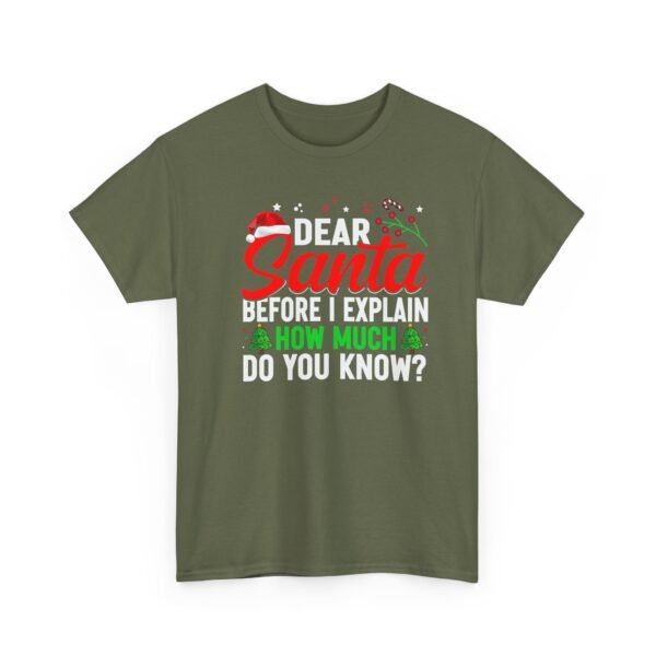 Unisex t-shirt from Twisted Angell with the sarcastic phrase “Dear Santa, Before I Explain, How Much Do You Know?” printed on the front.