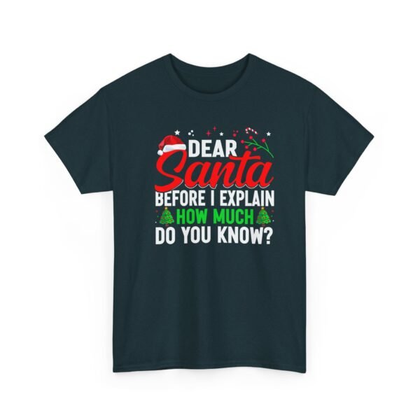 Unisex t-shirt from Twisted Angell with the sarcastic phrase “Dear Santa, Before I Explain, How Much Do You Know?” printed on the front.