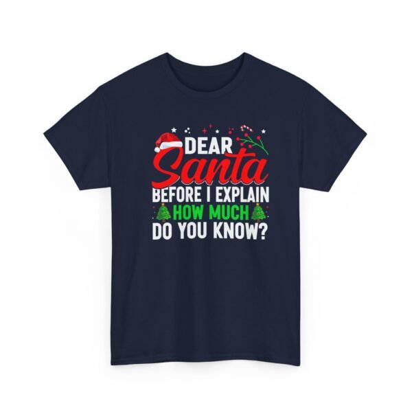 Unisex t-shirt from Twisted Angell with the sarcastic phrase “Dear Santa, Before I Explain, How Much Do You Know?” printed on the front.