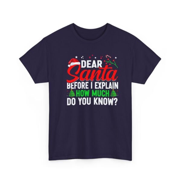 Unisex t-shirt from Twisted Angell with the sarcastic phrase “Dear Santa, Before I Explain, How Much Do You Know?” printed on the front.