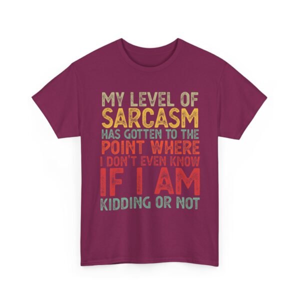 Unisex t-shirt from Twisted Angell with the sarcastic phrase “My Level Of Sarcasm Has Gotten Me To The Point Where I Don't Even Know If I Am Kidding Or Not” printed on the front.