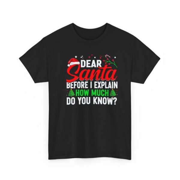 Unisex t-shirt from Twisted Angell with the sarcastic phrase “Dear Santa, Before I Explain, How Much Do You Know?” printed on the front.
