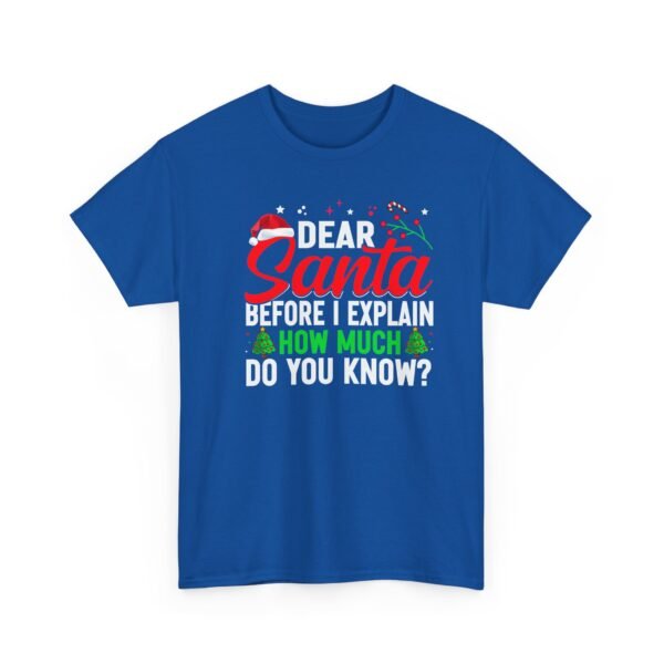 Unisex t-shirt from Twisted Angell with the sarcastic phrase “Dear Santa, Before I Explain, How Much Do You Know?” printed on the front.