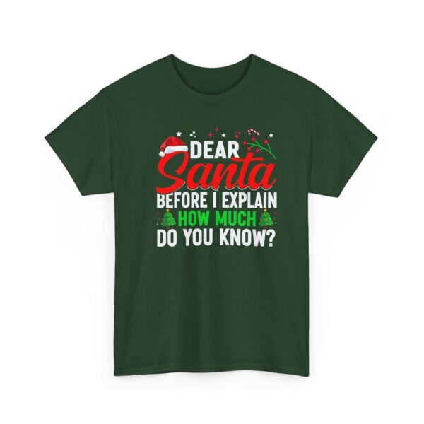 Unisex t-shirt from Twisted Angell with the sarcastic phrase “Dear Santa, Before I Explain, How Much Do You Know?” printed on the front.