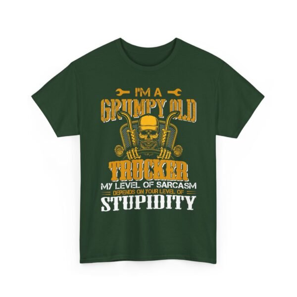Unisex t-shirt from Twisted Angell with the sarcastic phrase “I'm A Grumpy Old Trucker, My Level Of Sarcasm Depends On Your Level Of Stupidity” printed on the front.