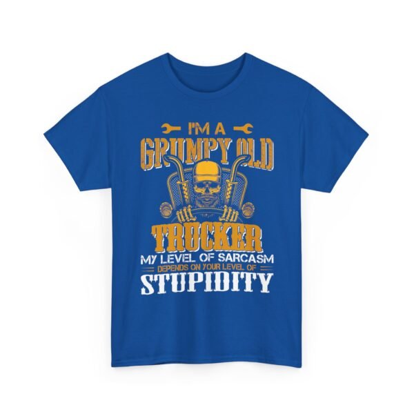 Unisex t-shirt from Twisted Angell with the sarcastic phrase “I'm A Grumpy Old Trucker, My Level Of Sarcasm Depends On Your Level Of Stupidity” printed on the front.