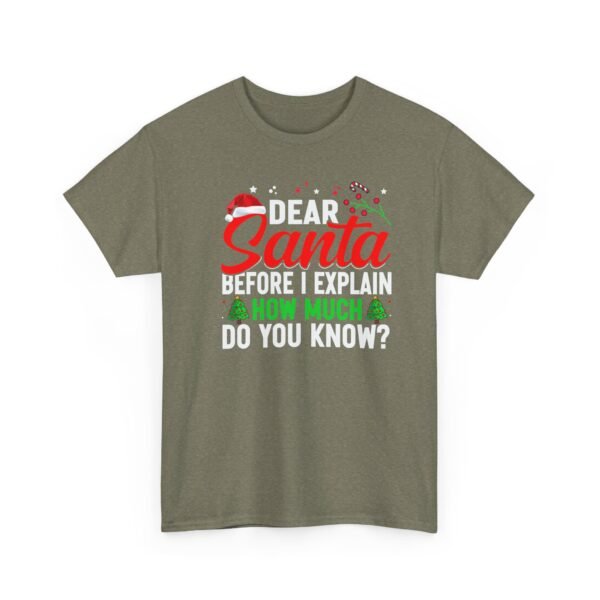 Unisex t-shirt from Twisted Angell with the sarcastic phrase “Dear Santa, Before I Explain, How Much Do You Know?” printed on the front.