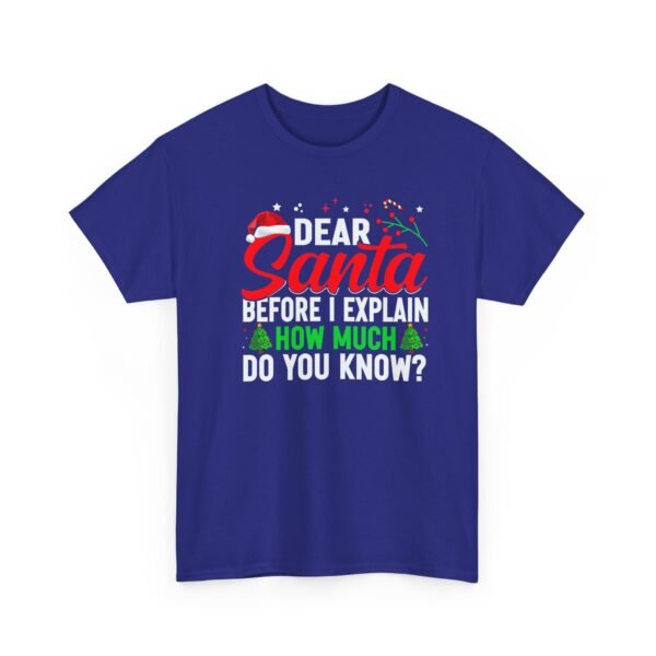 Unisex t-shirt from Twisted Angell with the sarcastic phrase “Dear Santa, Before I Explain, How Much Do You Know?” printed on the front.