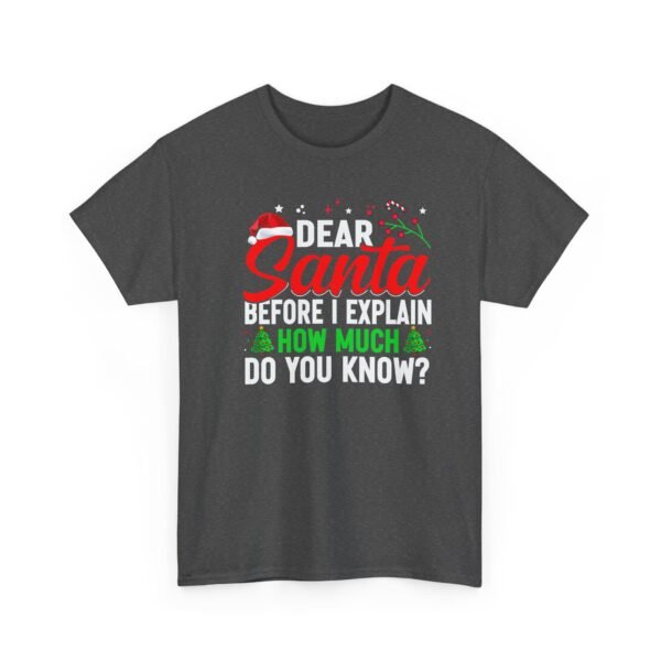 Unisex t-shirt from Twisted Angell with the sarcastic phrase “Dear Santa, Before I Explain, How Much Do You Know?” printed on the front.