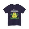 15167613059024430440_2048.jpeg Alien UFO Abduction — Cannabis Beam