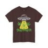 4215560604244929664_2048.jpeg Alien UFO Abduction — Cannabis Beam