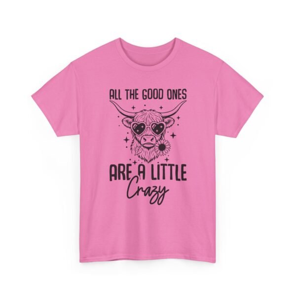 All The Good Ones Are A Little Crazy