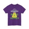7951986130654502221_2048.jpeg Alien UFO Abduction — Cannabis Beam